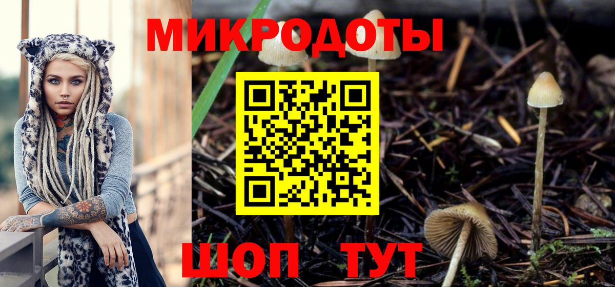 Псилоцибиновые грибы мицелий Южно-Сахалинск
